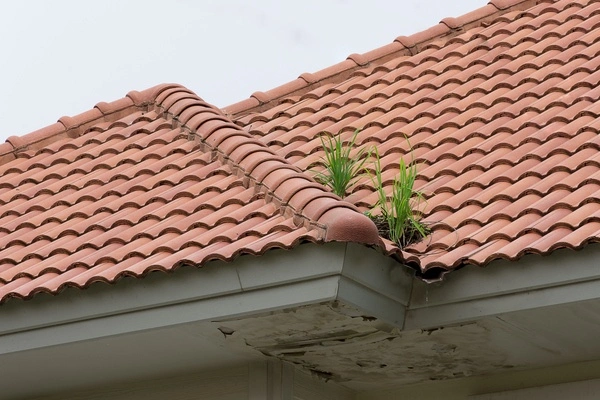 Professional local roofing contractor in Evansville, IN