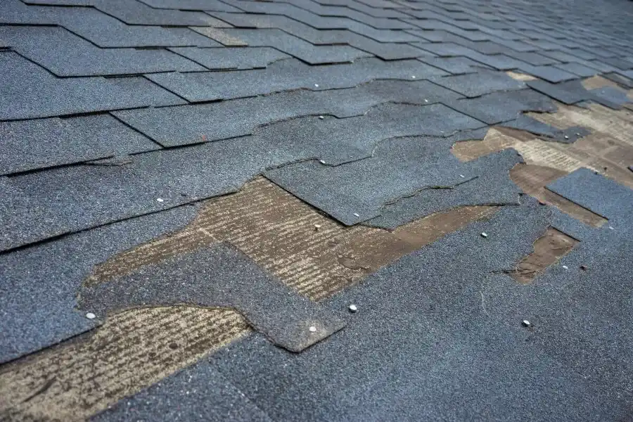 Top-rated Storm Damage Repair Evansville, IN
